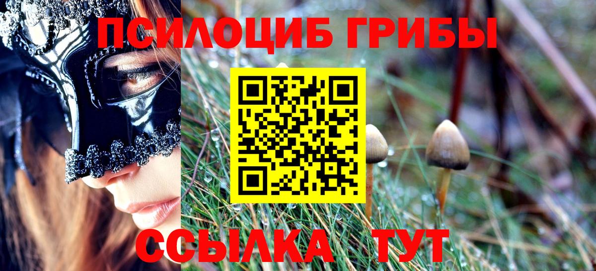 Выкса  Галлюциногенные грибы Psilocybine cubensis  Вход с VPN  Псилоцибиновые грибы мицелий 